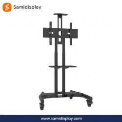 65 Inch TV Floor Stand with Mount